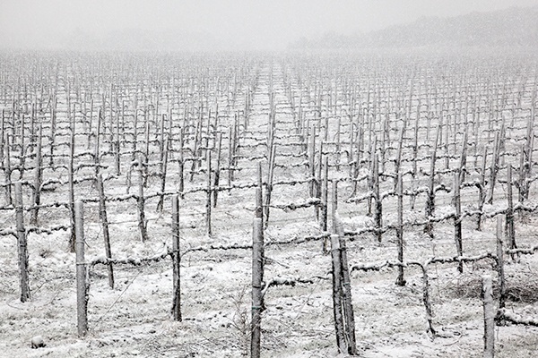 Poggio alla Mura during a blizzard