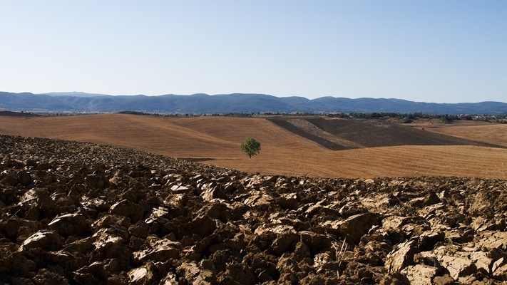 Tilled clay