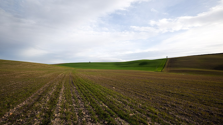 Tuscany