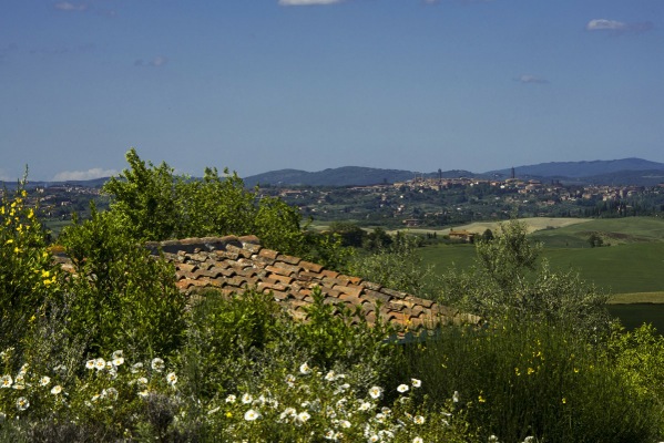 Giuncheto view of Siena